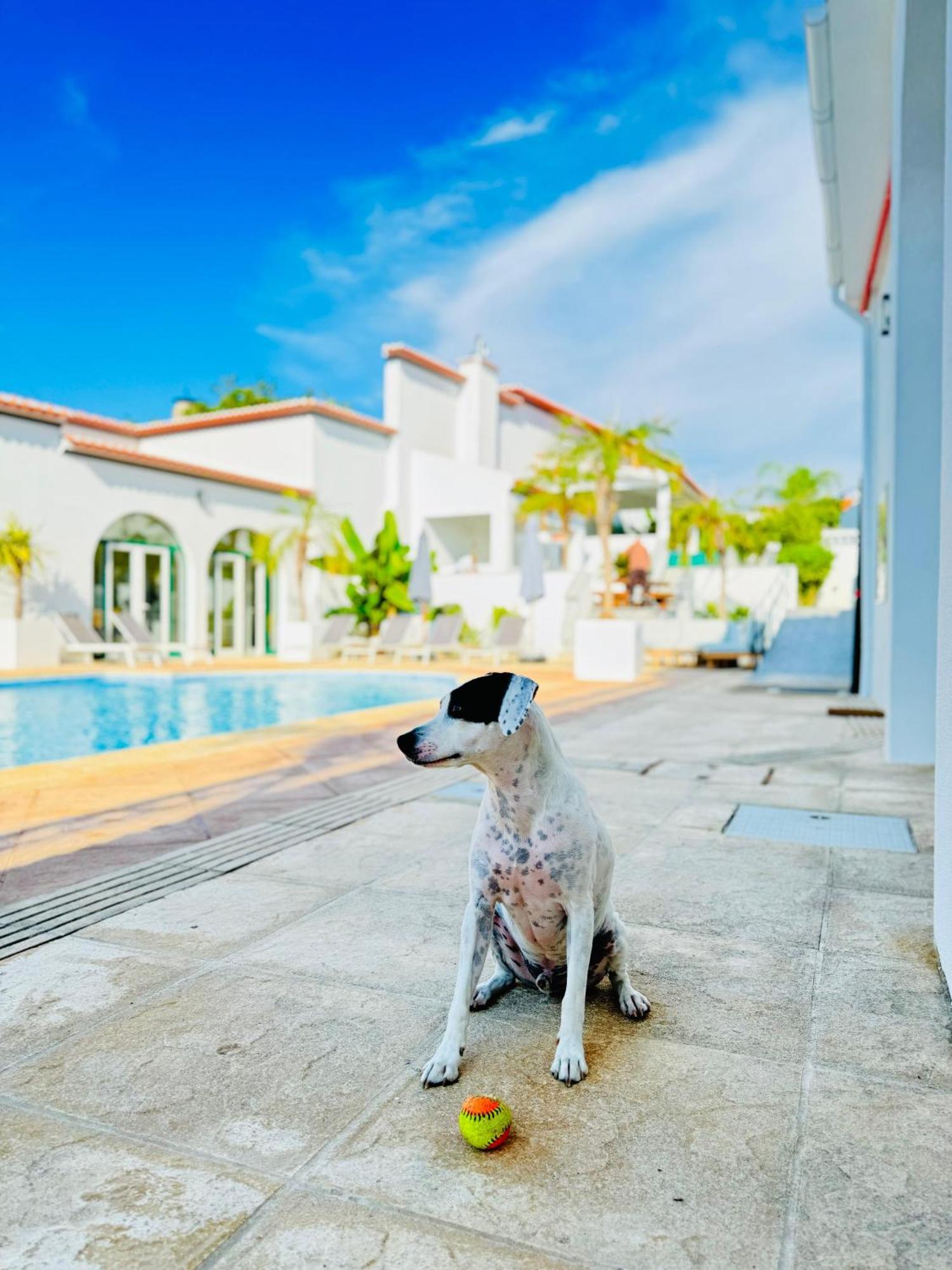 Hotel Solar Dos Frades Ferreira Do Alentejo Zewnętrze zdjęcie